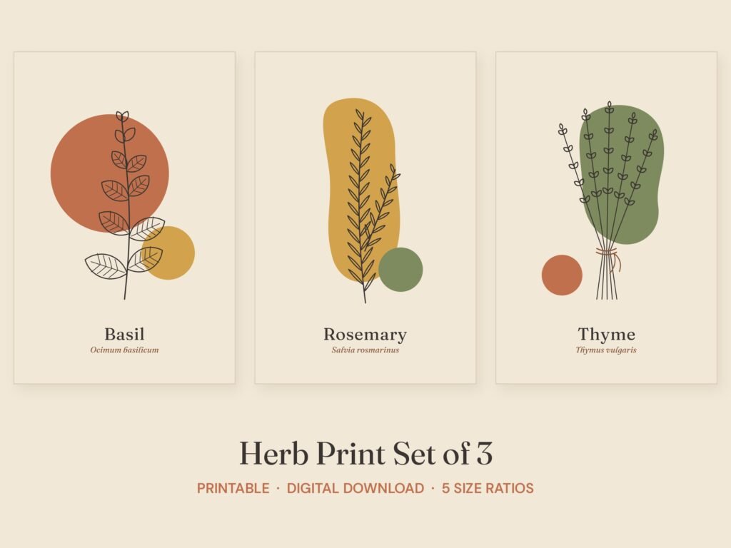 Herb Print Set of 3, Printable Kitchen Wall Art, Basil Rosemary Thyme, Botanical Digital Download